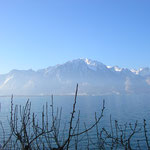 Lac Leman e Alpes - vista de Mountreux / Suíça
