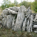 Murets de pierres sèches à Lalbenque
