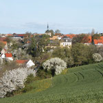 Ansicht vom Winzerweg im Frühling