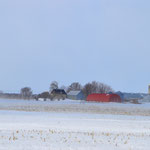 Farm