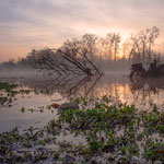 Morgenstimmung an der Isar