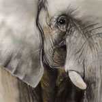 Elefant - Pastellkreide