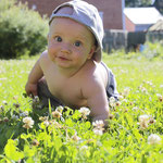 inneres Kind heilen. Wiese spüren. Theresa Anneken