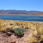 Laguna Meniques