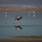 Laguna Chaxia