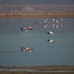 Laguna Chaxia