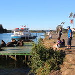 Seelöwen an der Uferpromenade