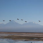 Laguna Chaxia