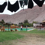 Pool-Check