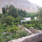 Gartenparadies
