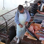 Fischmarkt in Valdivia