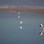 Laguna Chaxia