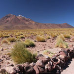 Laguna Chaxia