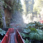 Termas Geometricas