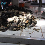 Fischmarkt in Puerto Montt