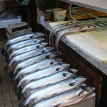 Fischmarkt in Puerto Montt