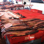 Fischmarkt in Valdivia