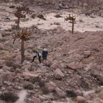 Geocachererfolg