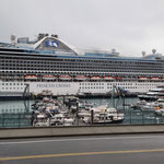 Caribbean Princess