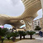 Setas de Sevilla