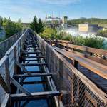 die längste Fisch-Treppe aus Holz in Whitehorse