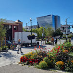 Anchorage