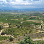 Blick auf das Rioja-Gebiet
