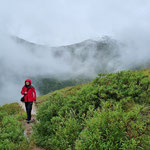 Mt. Healy Trail