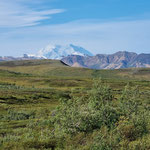 Mt. Denali