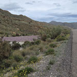 an der Küste bei Agua Amarga