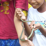 children playing with a snake