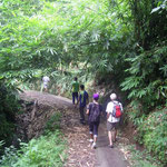 auf der Wanderung - on the trek