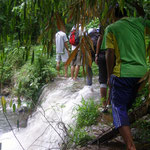 auf der Wanderung - on the trek