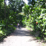 kleine Straße - small backroad