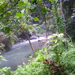 The River of Aling Aling