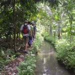 auf der Wanderung - on the trek