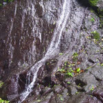 Wasserfall - waterfall