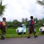 and children with ricefield and vespa...