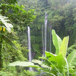 Der Wasserfall von Sekumpul