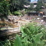 Detail der heißen Quelle - Detail of the hot spring