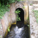 Bewässerungskanal - irrigation canal