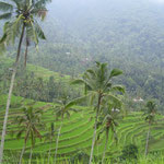 Ricefields up in the mountains