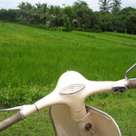 ...and another Vespa...and ricefield also.