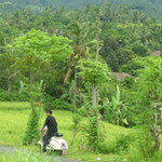 ...and once again the best landlord from Penimbangen Beach riding...right: Vespa!!