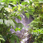 kleiner Wasserfall - small waterfall