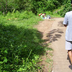 auf der Wanderung - on the trek