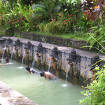 Schwimmbecken in Air Panas - Pools at the hot springs