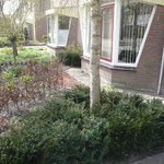 situatie na