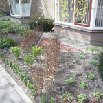 situatie na