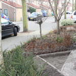 structuur aanbrengen